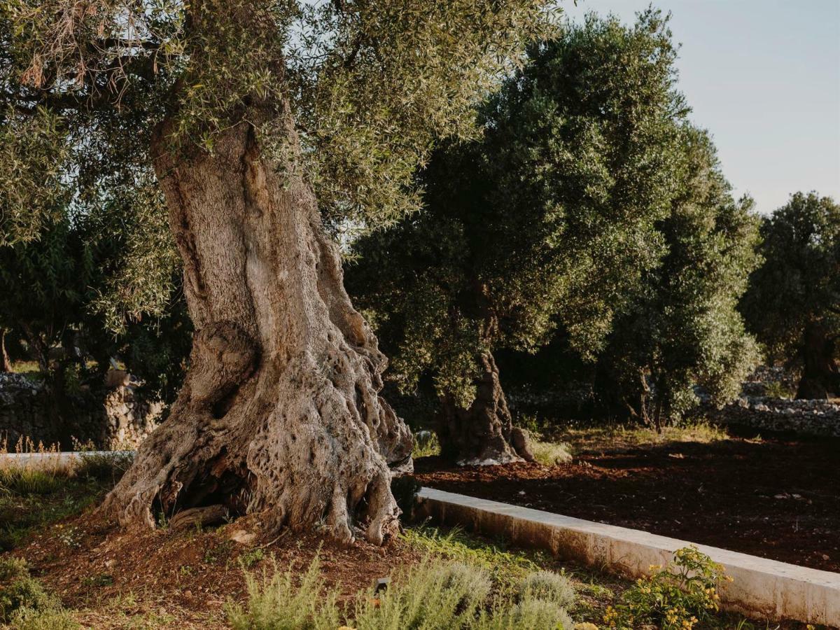 Masseria Dagilupi Остуни Экстерьер фото